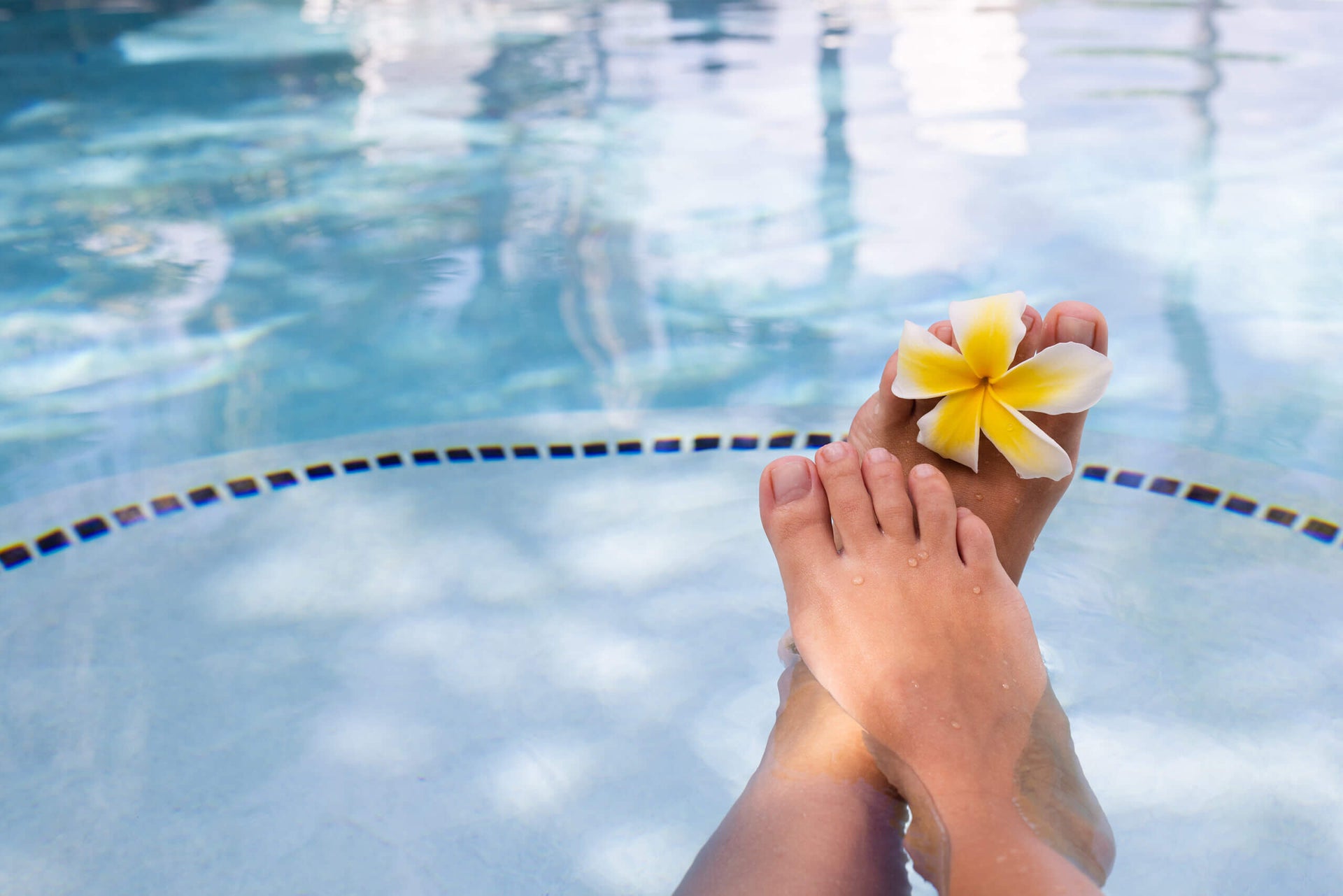 Here Comes Summer