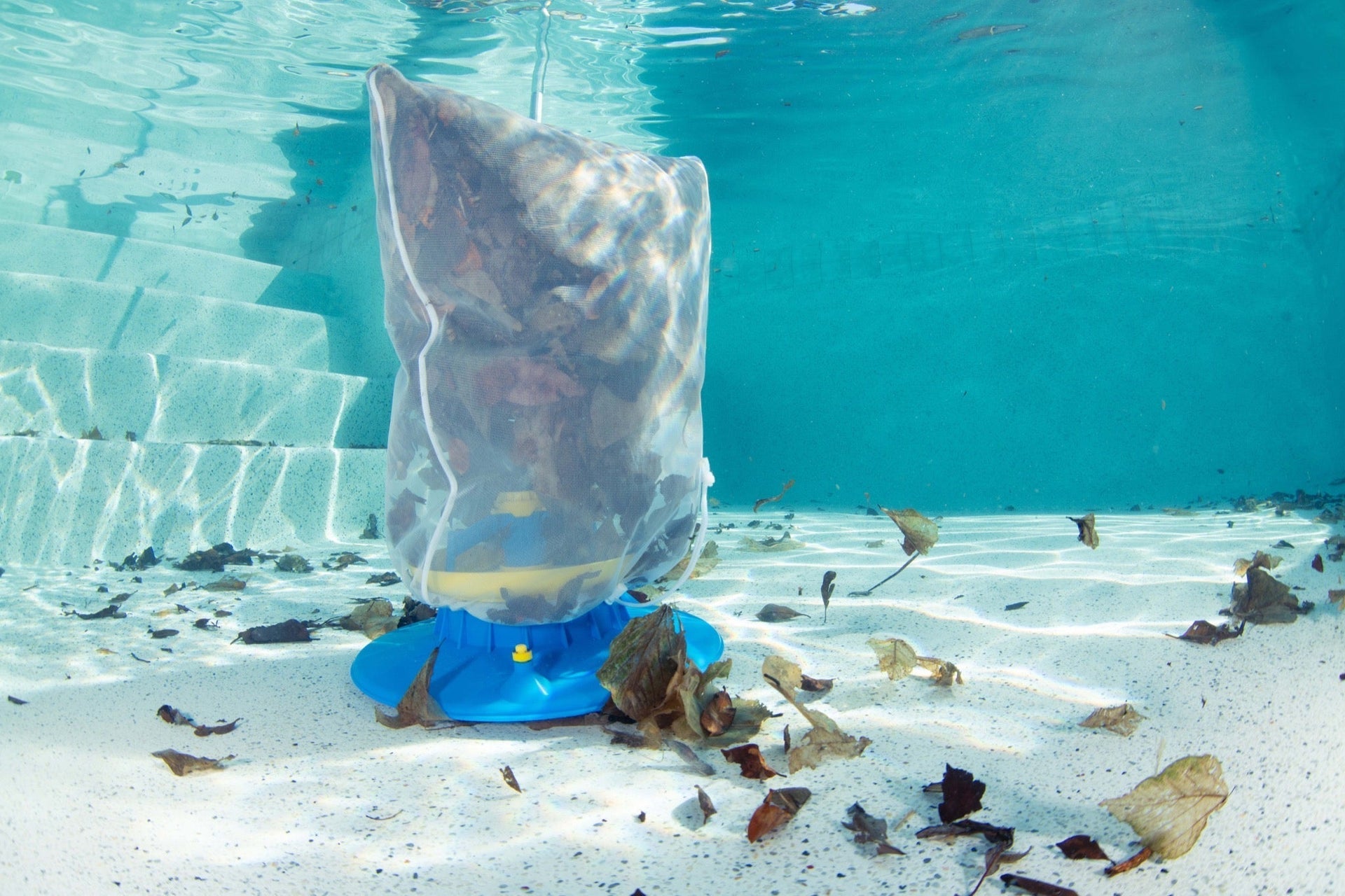 Pool Opening 101: Leaf the Hard Work to Your Pool Leaf Vac