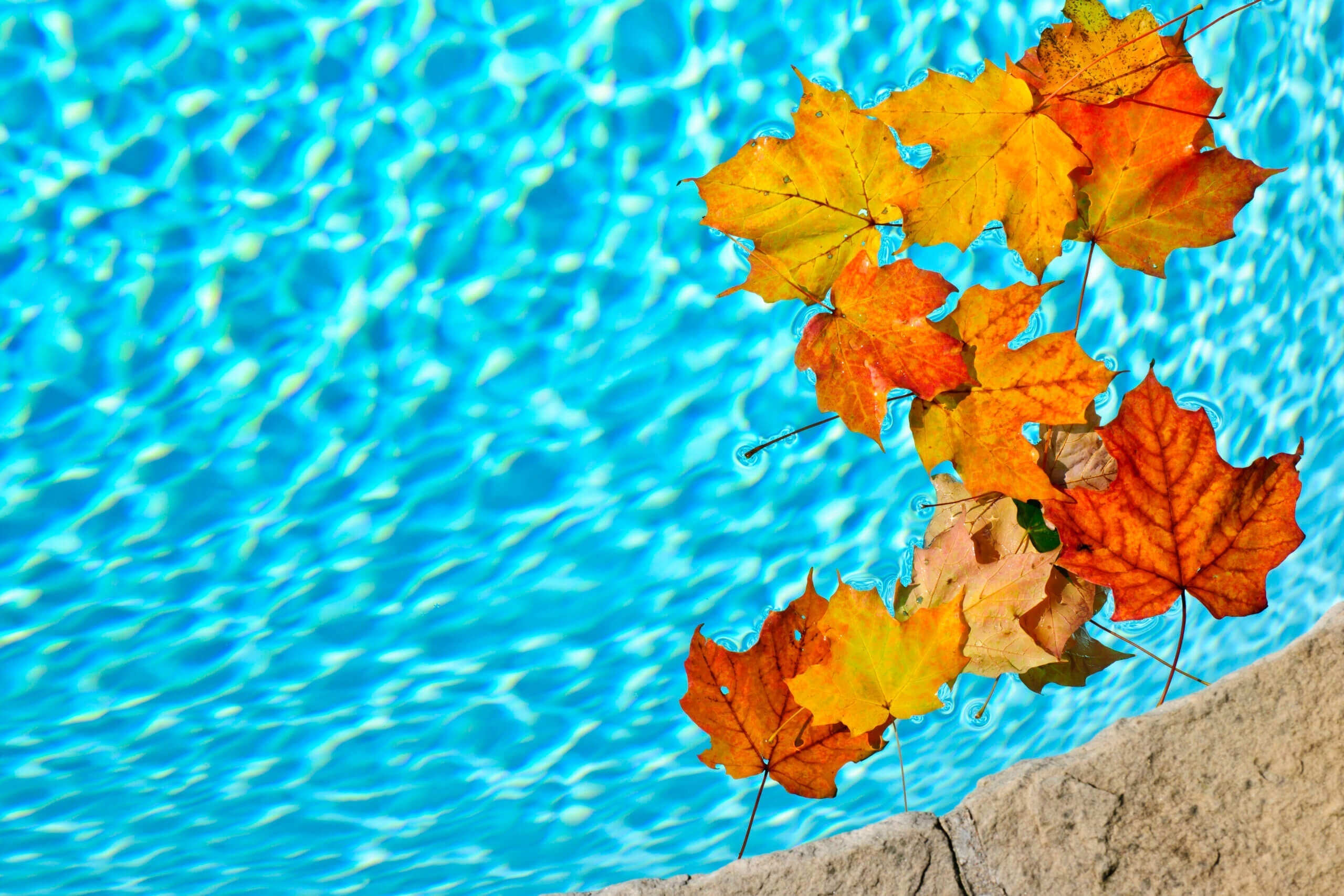 Winterizing Your Pool: Tips and Tricks | Water Tech